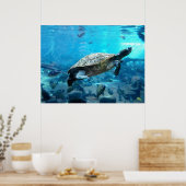 Poster Tortue et poisson (Cuisine)
