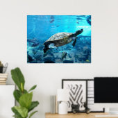 Poster Tortue et poisson (Bureau à domicile)