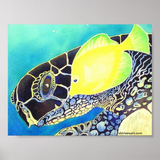 Poster tortue et poisson (Devant)