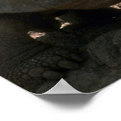 Poster Tortue géante en forme de dôme (Coin)