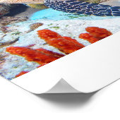 Poster Tortue hawksbill (Coin)