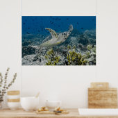 Poster Tortue imbriquée nageant (Cuisine)