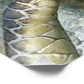 Poster Tortue marine (Coin)