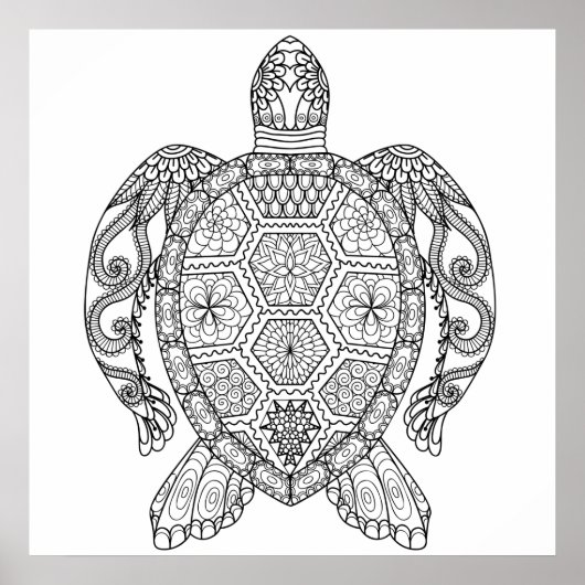 POSTER TORTUE MARINE (Devant)