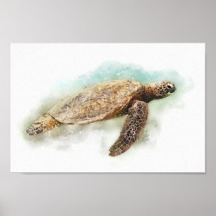 Poster Tortue marine - Tortue marine verte hawaïenne aqua