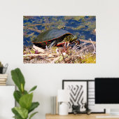 Poster Tortue peinte (Chrysemys picta) 3 (Bureau à domicile)