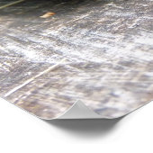 Poster Tortue peinte de l'Est (Coin)