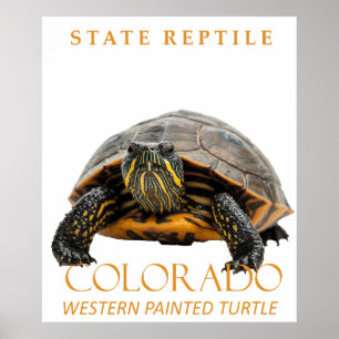 Poster Tortue peinte de l'Ouest du Territoire du Colorado