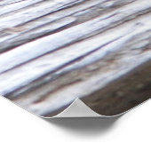 Poster Tortue peinte en toile sur terre (Coin)