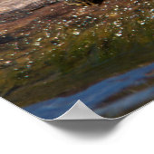 Poster Tortue peinte sur un bûcher (Coin)