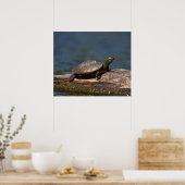 Poster Tortue peinte sur un bûcher (Cuisine)