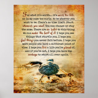 Poster Tortue Pour Quelle Inspiration Et Motivation