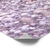 Poster Tortue serpent du Kansas (Coin)