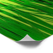 Poster Tortue soif (Coin)