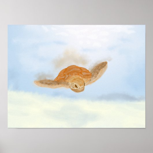 Poster Tortue sous l'eau. (Devant)