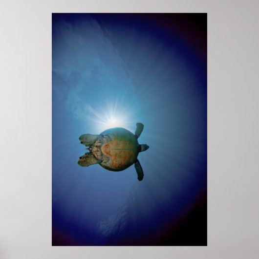 Poster Tortue sous-marine| Mer d'Andaman, Thaïlande (Devant)