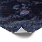 Poster Tortue sur le corail (Coin)