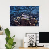 Poster Tortue sur le corail (Bureau à domicile)