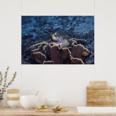 Poster Tortue sur le corail (Cuisine)