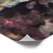 Poster Tortue tortue (Coin)