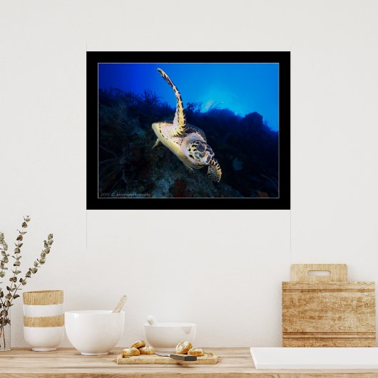 Poster Tortue tortue (Cuisine)