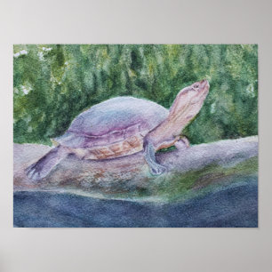 Poster Tortue tropicale exceptionnelle