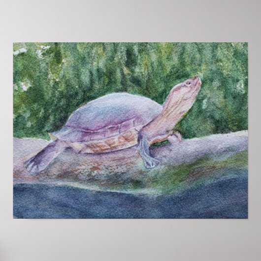 Poster Tortue tropicale exceptionnelle (Devant)