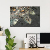 Poster Tortue verte (Bureau à domicile)