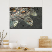 Poster Tortue verte (Cuisine)