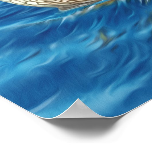 Poster Tortue verte à basking stylisée (Coin)