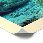 Poster Tortue verte (Chelonia mydas) (Coin)