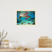 Poster Tortue verte (Chelonia mydas) (Cuisine)