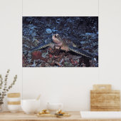 Poster Tortue verte Gili (Cuisine)