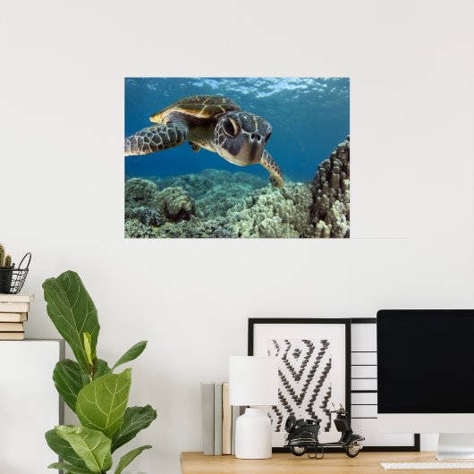 Poster Tortue verte hawaïenne (Bureau à domicile)