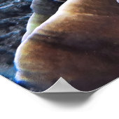 Poster Tortue verte sur le corail (Coin)