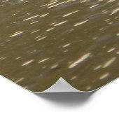 Poster Tortues (Coin)