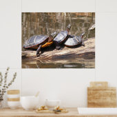 Poster Tortues Assis Sur L'Affiche De Journal (Cuisine)