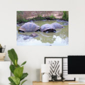 Poster Tortues dans la boue (Bureau à domicile)