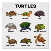 Tortues de dessin animé mignonnes du monde