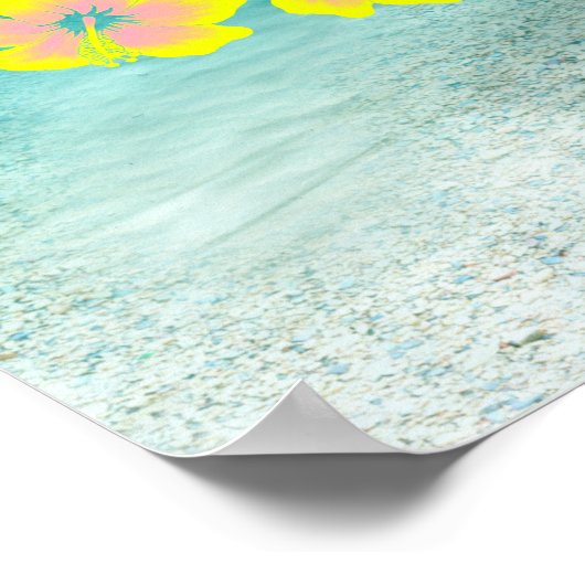 Poster Tortues de mer vertes (Coin)