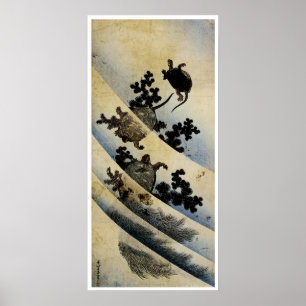 Poster Tortues de natation