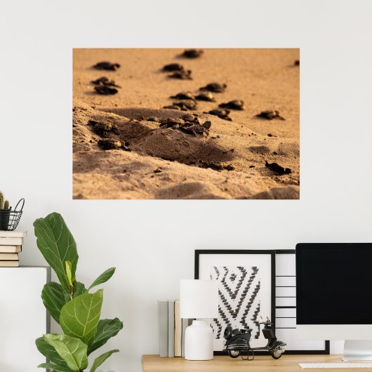 Poster Tortues marines (Bureau à domicile)