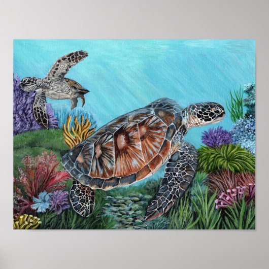 Poster Tortues marines (Devant)