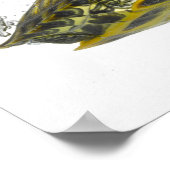 Poster Tortues rouges (Coin)