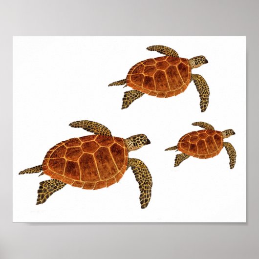 Poster Tortues volantes (Devant)