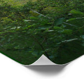 Poster Tôt le soir (Coin)