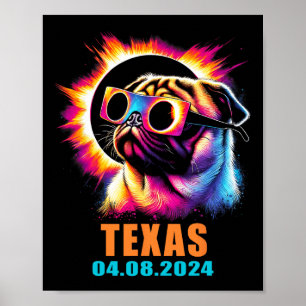 Poster Total Solaire Eclipse 2024 Carlin Chien avec lunet