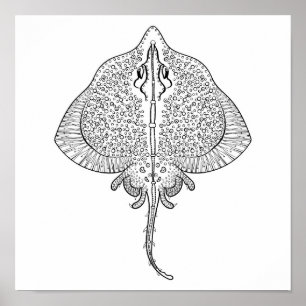 Poster Totem inspiré 2 de pastenague