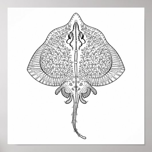 Poster Totem Stingray Inspiré 2 (Devant)