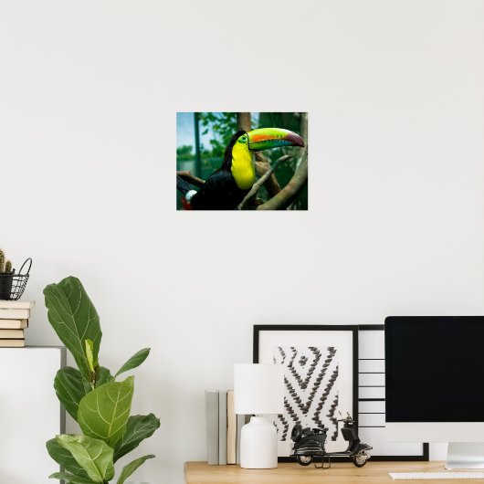 Poster Toucan (Bureau à domicile)